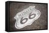 Famous Sixty Six Sign-vent du sud-Framed Stretched Canvas