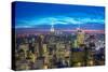 Famous Skyscrapers of New York at Night-Elnur Amikishiyev-Stretched Canvas