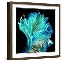 Fan, 2021, (digital)-Scott J. Davis-Framed Giclee Print