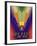 Fan 7A 3D Title-Art Deco Designs-Framed Giclee Print