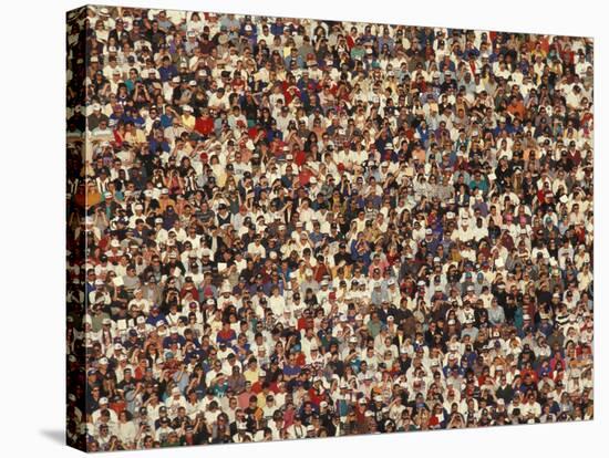 Fan at a Football Game-null-Stretched Canvas