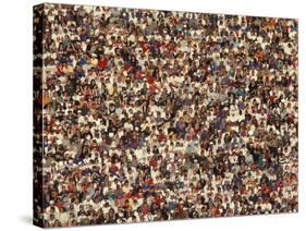 Fan at a Football Game-null-Stretched Canvas