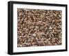 Fan at a Football Game-null-Framed Photographic Print