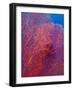 Fan Coral, West New Britain, Papua New Guinea-Michele Westmorland-Framed Photographic Print