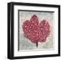 Fan Coral-Ted Broome-Framed Art Print