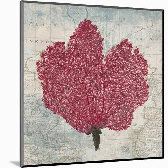 Fan Coral-Ted Broome-Mounted Art Print