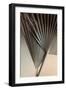 Fan Detail 8-Ian Winstanley-Framed Art Print