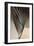 Fan Detail 8-Ian Winstanley-Framed Art Print