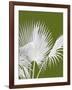 Fan Palm 1, White on Green-Fab Funky-Framed Art Print