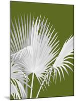 Fan Palm 1, White on Green-Fab Funky-Mounted Art Print