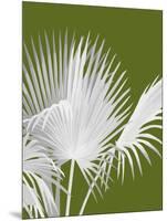 Fan Palm 1, White on Green-Fab Funky-Mounted Art Print