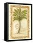 Fan Palm-Marianne D^ Cuozzo-Framed Stretched Canvas
