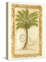 Fan Palm-Marianne D^ Cuozzo-Stretched Canvas