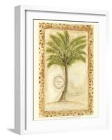 Fan Palm-Marianne D^ Cuozzo-Framed Art Print