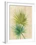 Fan Palm-Albena Hristova-Framed Art Print