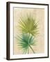 Fan Palm-Albena Hristova-Framed Art Print