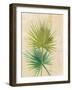 Fan Palm-Albena Hristova-Framed Art Print