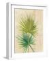 Fan Palm-Albena Hristova-Framed Art Print