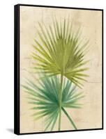 Fan Palm-Albena Hristova-Framed Stretched Canvas