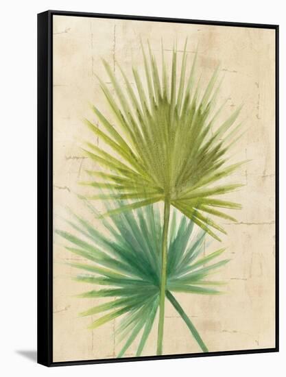 Fan Palm-Albena Hristova-Framed Stretched Canvas