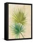 Fan Palm-Albena Hristova-Framed Stretched Canvas