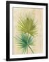 Fan Palm-Albena Hristova-Framed Art Print