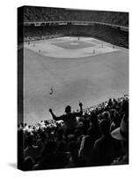 Fan Rooting for His Team in a Packed Stadium During Brooklyn Dodger Game at Ebbets-Sam Shere-Stretched Canvas