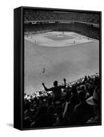 Fan Rooting for His Team in a Packed Stadium During Brooklyn Dodger Game at Ebbets-Sam Shere-Framed Stretched Canvas