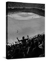 Fan Rooting for His Team in a Packed Stadium During Brooklyn Dodger Game at Ebbets-Sam Shere-Stretched Canvas