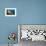 Fan Worm (Spirographis Spallanzanii) and Sponges on a Coral Reef-Reinhard Dirscherl-Framed Photographic Print displayed on a wall