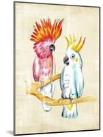 Fanciful Birds IV-Chariklia Zarris-Mounted Art Print