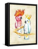 Fanciful Birds IV-Chariklia Zarris-Framed Stretched Canvas