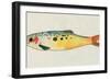 Fanciful Fish I-Victoria Barnes-Framed Art Print