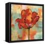 Fanciful I-Nicole Sutton-Framed Stretched Canvas