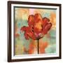 Fanciful I-Nicole Sutton-Framed Art Print