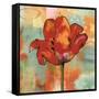 Fanciful I-Nicole Sutton-Framed Stretched Canvas