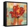 Fanciful I-Nicole Sutton-Framed Stretched Canvas