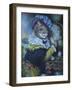 Fancy a Cat Painting-Sue Clyne-Framed Giclee Print