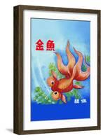 Fancy Bubble Eye Goldfish-null-Framed Art Print