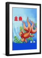 Fancy Bubble Eye Goldfish-null-Framed Art Print