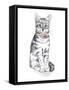 Fancy Cats I-Beth Grove-Framed Stretched Canvas