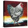 Fancy Chicken I-Carolee Vitaletti-Stretched Canvas