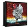 Fancy Chicken II-Carolee Vitaletti-Framed Stretched Canvas