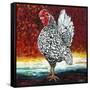 Fancy Chicken II-Carolee Vitaletti-Framed Stretched Canvas