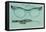 Fancy Eyeglass Frames-null-Framed Stretched Canvas