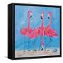 Fancy Flamingos II-Julie DeRice-Framed Stretched Canvas