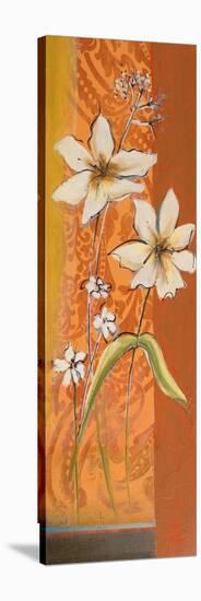 Fancy Floral I-Patricia Pinto-Stretched Canvas