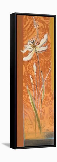 Fancy Floral II-Patricia Pinto-Framed Stretched Canvas