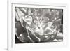 Fancy Flower I-Alan Hausenflock-Framed Photographic Print