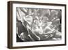 Fancy Flower I-Alan Hausenflock-Framed Photographic Print